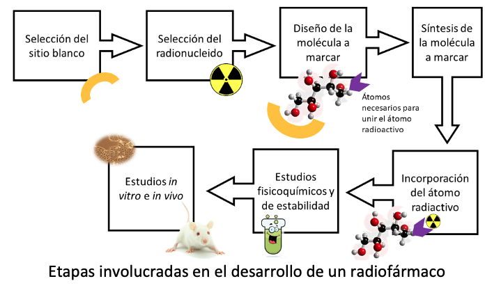 Dato Persona australiana Molesto Radiofarmacia | Sociedad Uruguaya de Biología y Medicina Nuclear | Oficial  web site